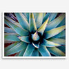 Agave wall art featuring blue-green succulent leaves inspired by the western desert landscape