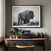 American bison wall art featuring a black and white wildlife photograph of a solitary buffalo in Yellowstone National Park