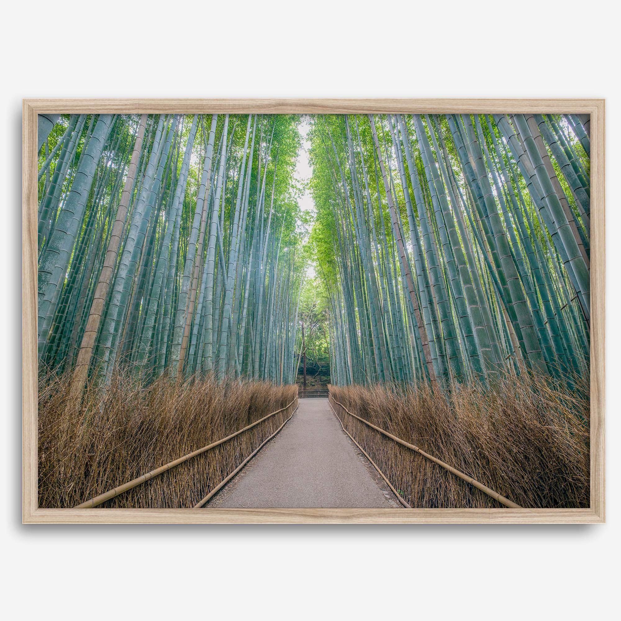 Bamboo Forest Photo wall art featuring misty path in Kyoto’s Arashiyama grove