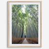 Vertical bamboo forest photograph from Arashiyama, tranquil path and glowing greens, premium bamboo wall art