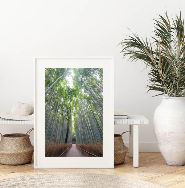 Vertical bamboo forest photograph from Arashiyama, tranquil path and glowing greens, premium bamboo wall art