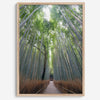 Vertical bamboo forest photograph from Arashiyama, tranquil path and glowing greens, premium bamboo wall art
