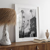 Beverly Hills print featuring tall palm trees and hotel architecture in black and white modern photography
