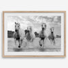 Running horses wall art in black and white featuring Camargue horses splashing through coastal waters near Saintes-Maries-de-la-Mer
