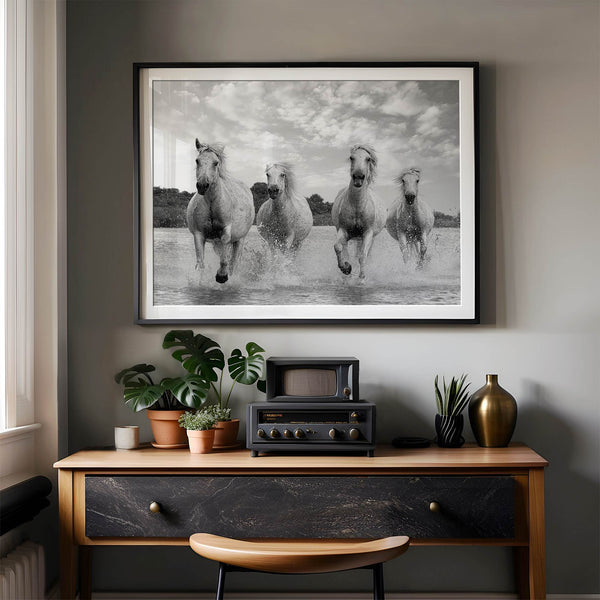 Running horses wall art in black and white featuring Camargue horses splashing through coastal waters near Saintes-Maries-de-la-Mer