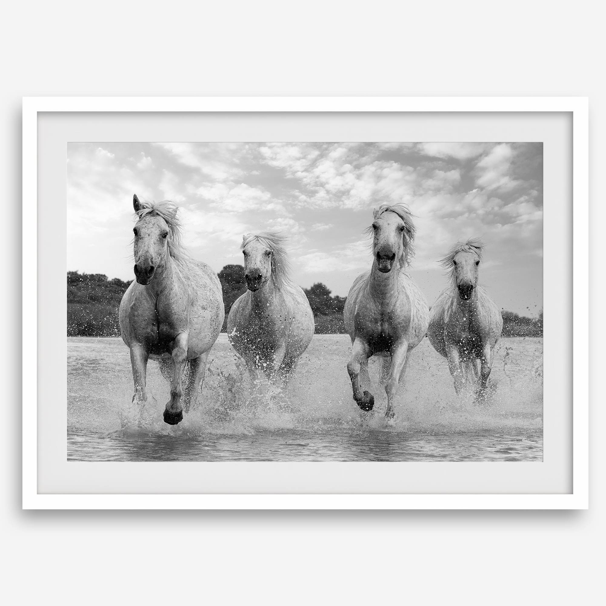 Running horses wall art in black and white featuring Camargue horses splashing through coastal waters near Saintes-Maries-de-la-Mer
