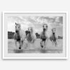 Running horses wall art in black and white featuring Camargue horses splashing through coastal waters near Saintes-Maries-de-la-Mer