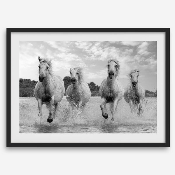 Running horses wall art in black and white featuring Camargue horses splashing through coastal waters near Saintes-Maries-de-la-Mer