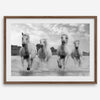 Running horses wall art in black and white featuring Camargue horses splashing through coastal waters near Saintes-Maries-de-la-Mer
