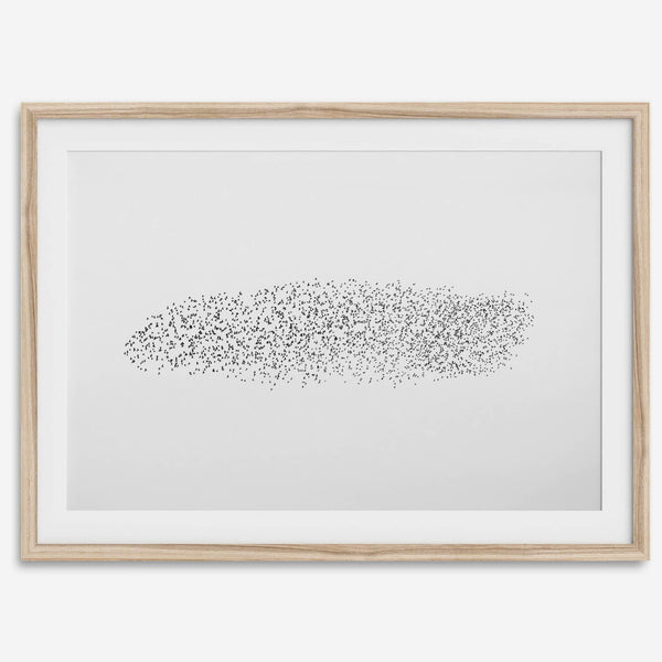 Black and white nature photography landscape of a starling murmuration in flight.