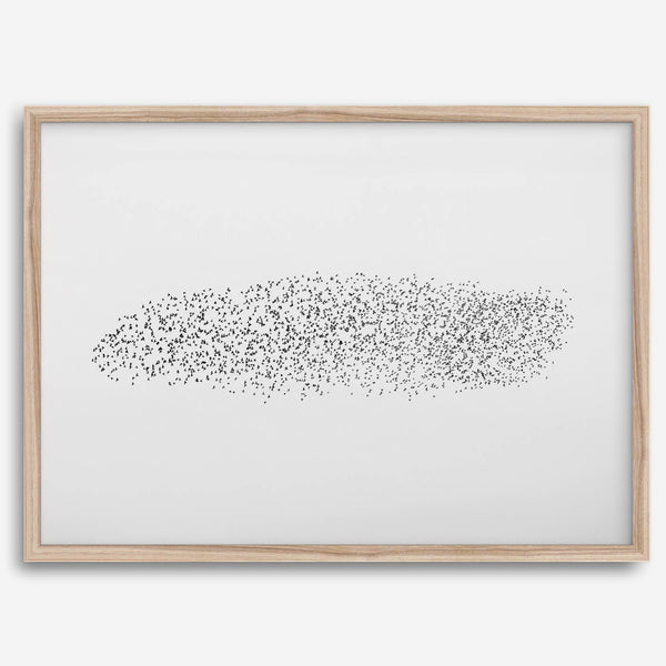 Black and white nature photography landscape of a starling murmuration in flight.