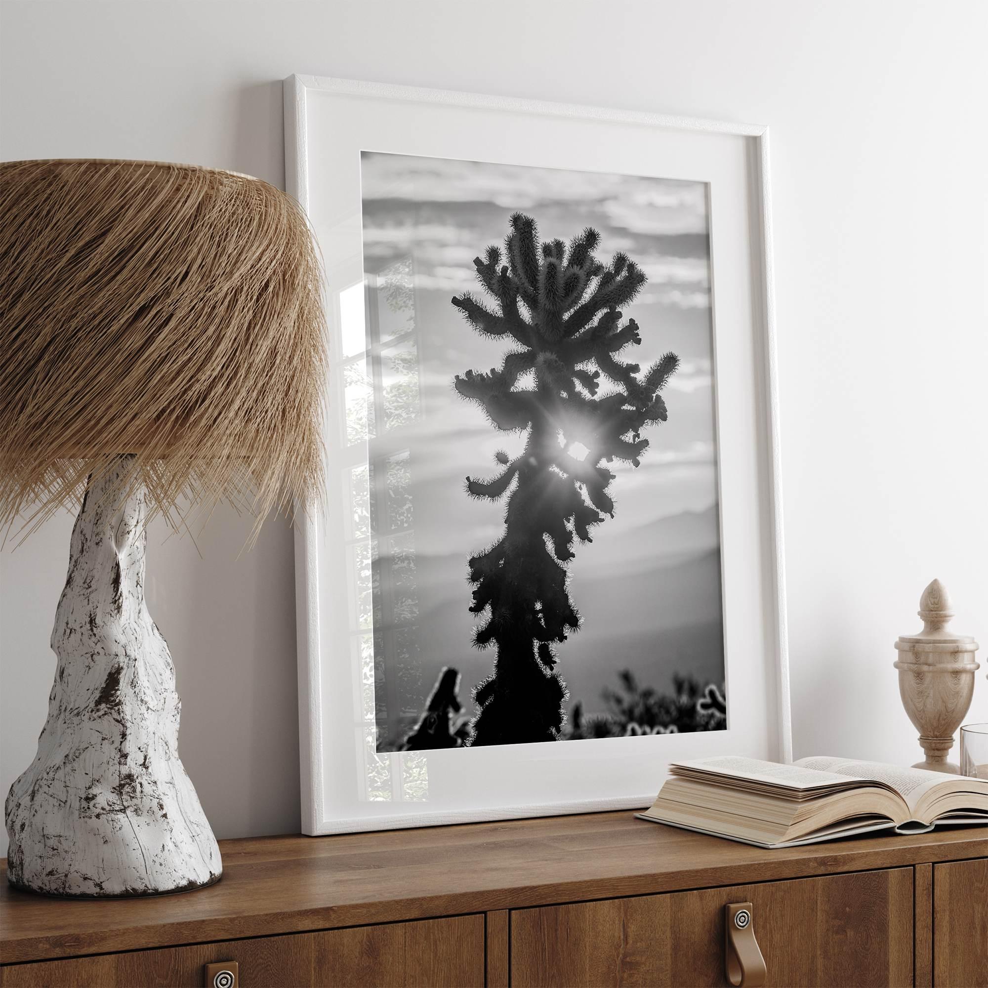 black and white cactus print and desert wall art showcasing a vivid sunset through a beautiful cactus silhouette. 
