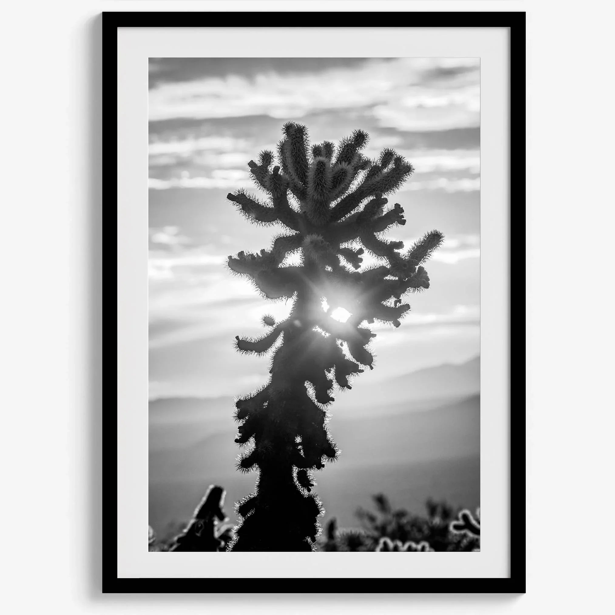 black and white cactus print and desert wall art showcasing a vivid sunset through a beautiful cactus silhouette. 