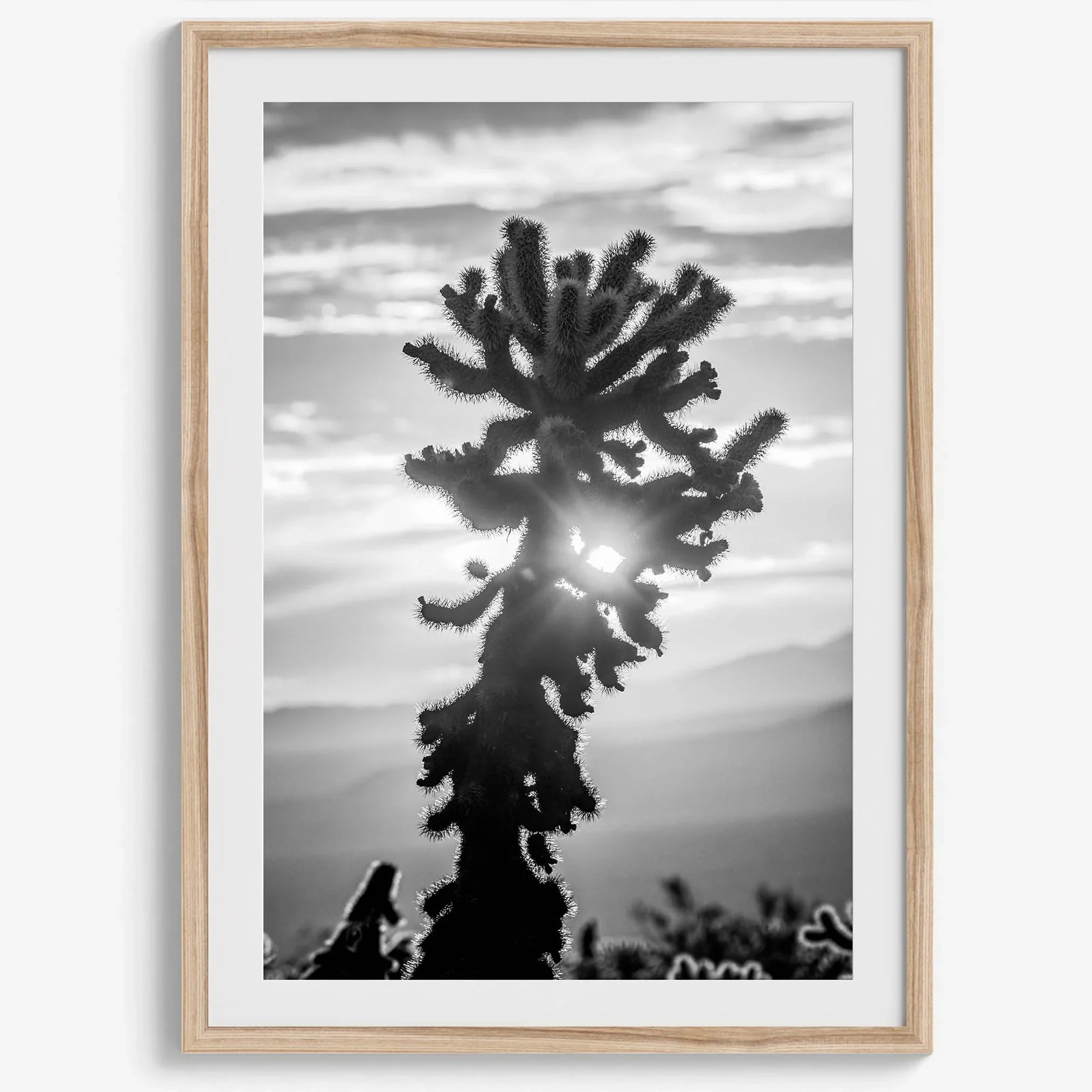 black and white cactus print and desert wall art showcasing a vivid sunset through a beautiful cactus silhouette. 