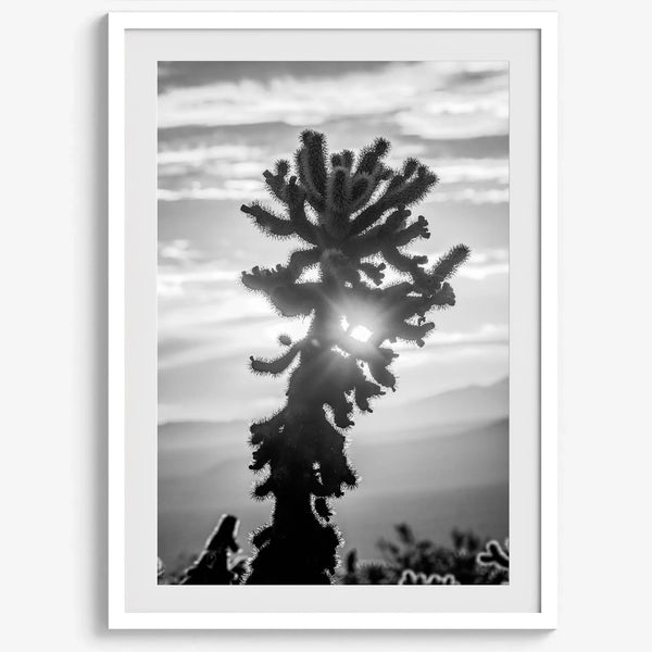 black and white cactus print and desert wall art showcasing a vivid sunset through a beautiful cactus silhouette. 