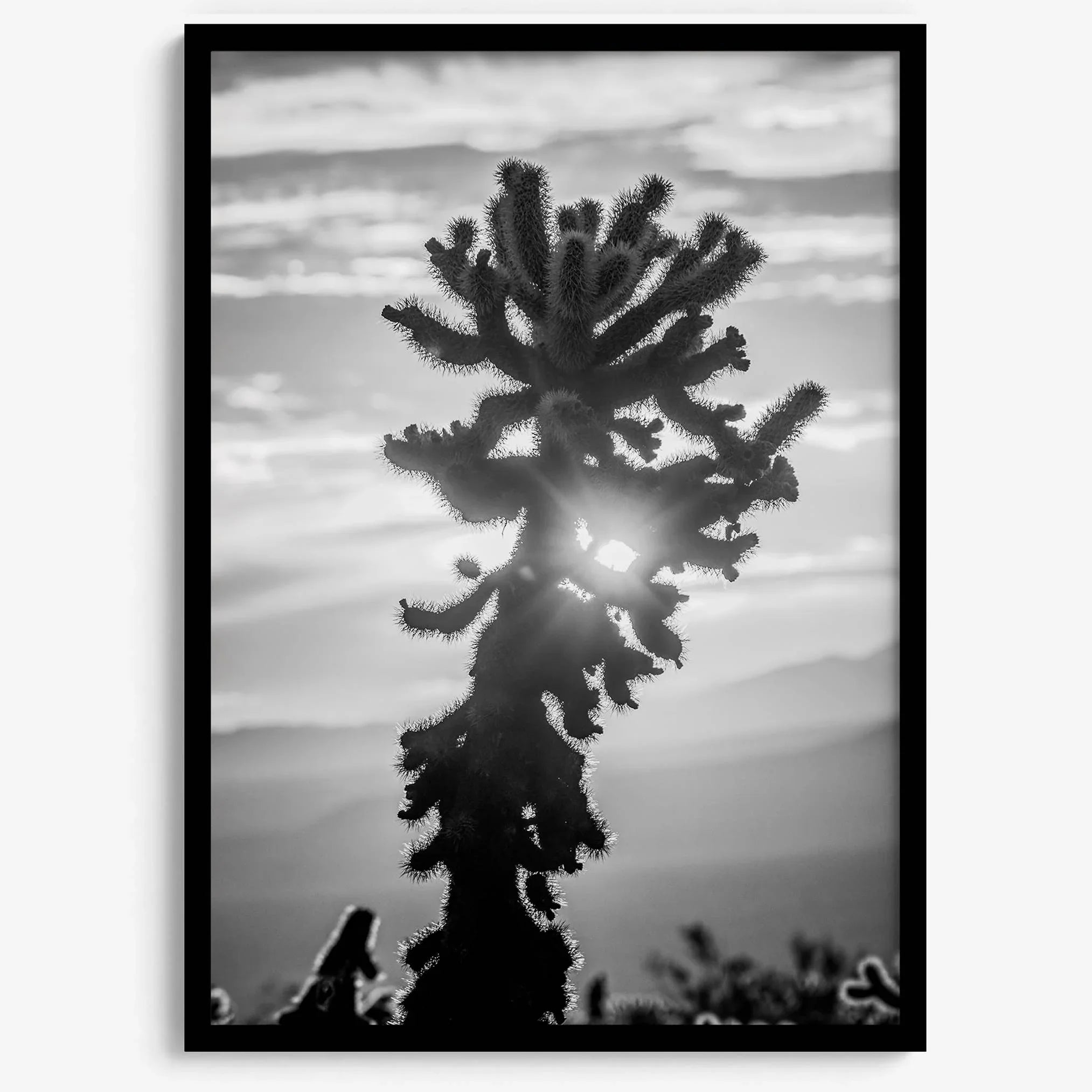 black and white cactus print and desert wall art showcasing a vivid sunset through a beautiful cactus silhouette. 