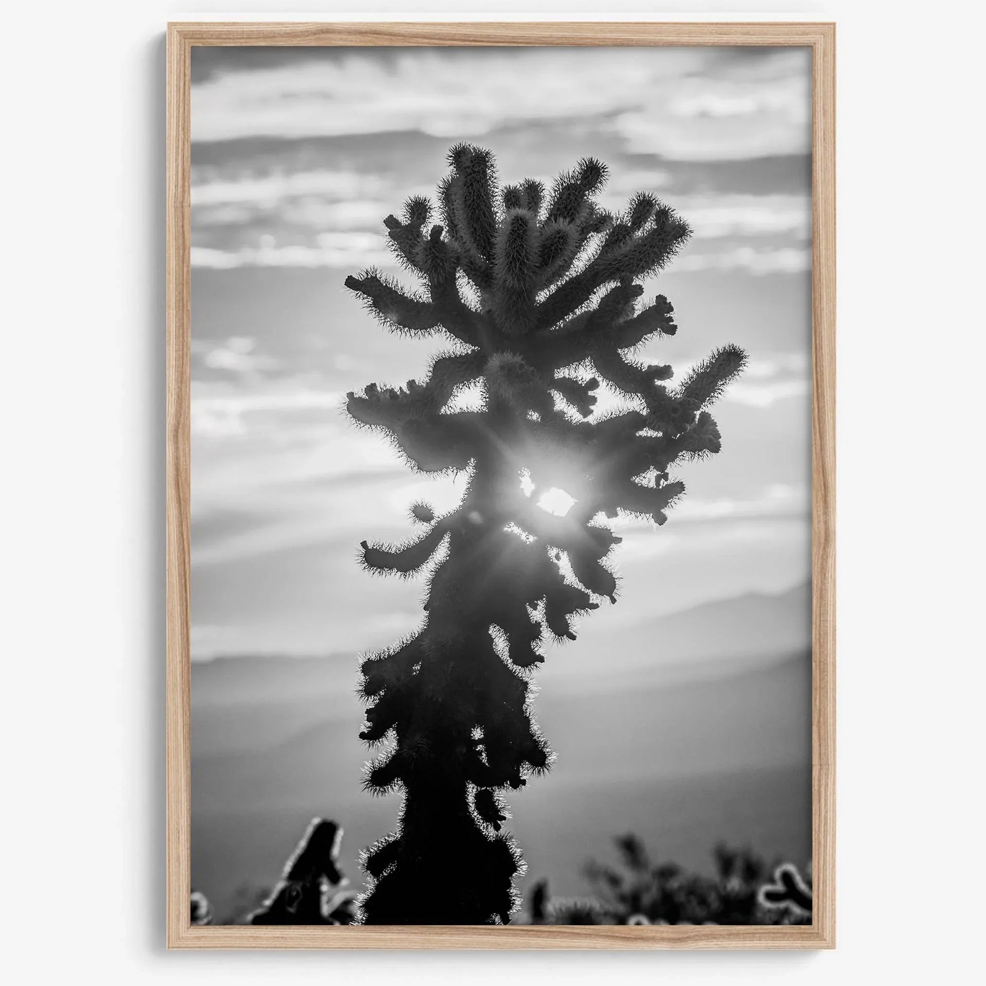 black and white cactus print and desert wall art showcasing a vivid sunset through a beautiful cactus silhouette. 