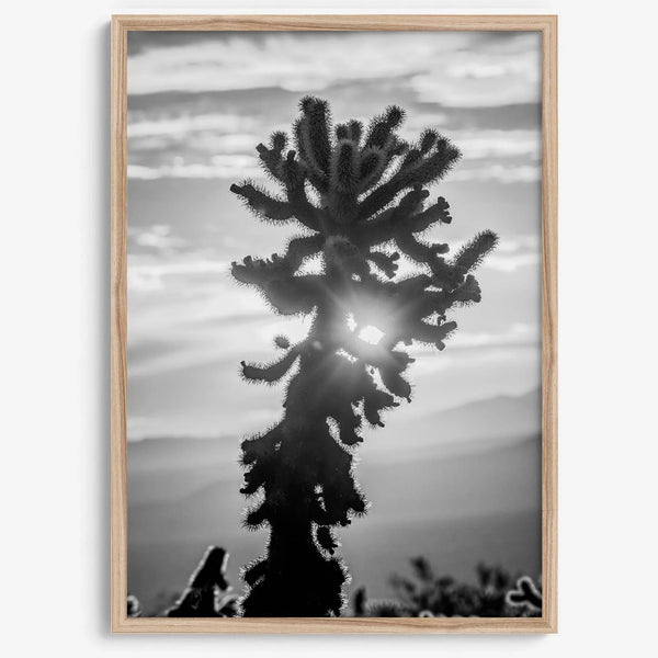 black and white cactus print and desert wall art showcasing a vivid sunset through a beautiful cactus silhouette. 
