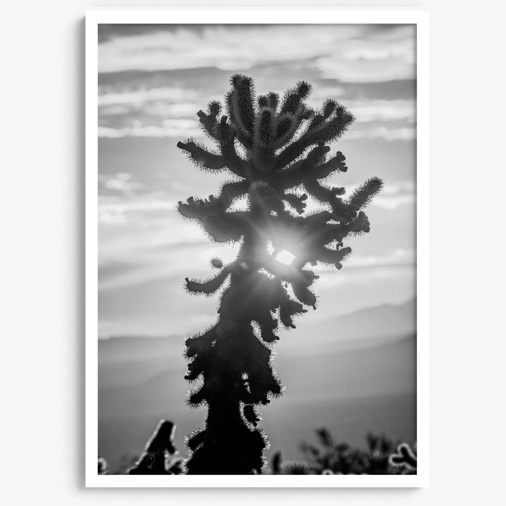 black and white cactus print and desert wall art showcasing a vivid sunset through a beautiful cactus silhouette. 