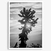 black and white cactus print and desert wall art showcasing a vivid sunset through a beautiful cactus silhouette. 