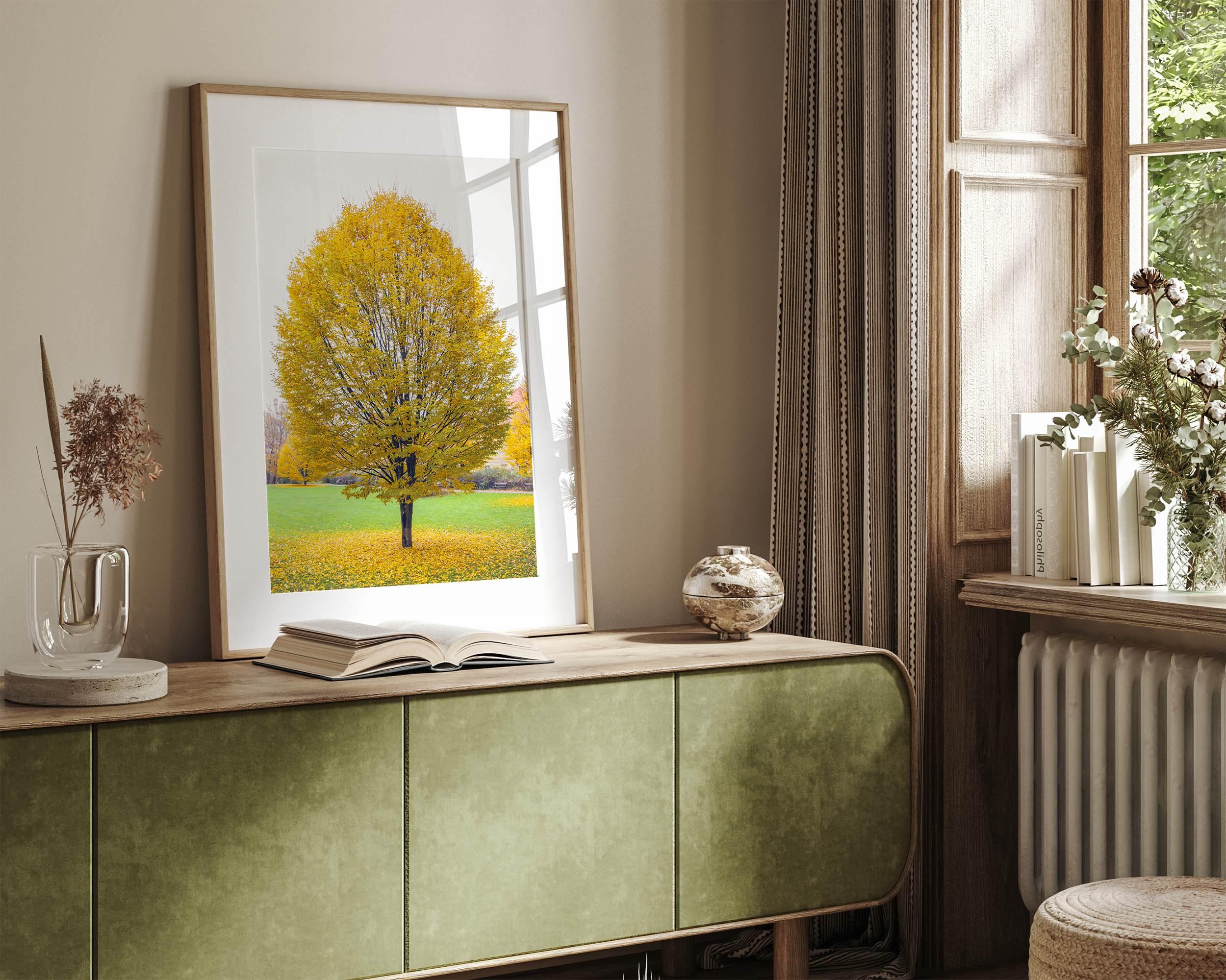 Framed fall wall decor print of a golden tree in Prague during autumn.