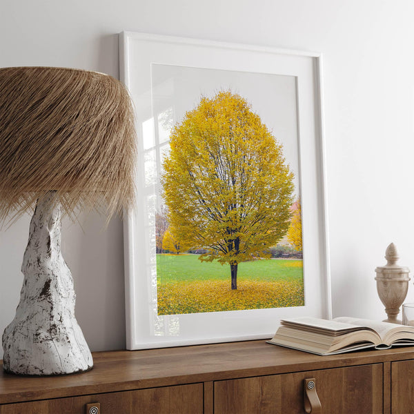 Framed fall wall decor print of a golden tree in Prague during autumn.