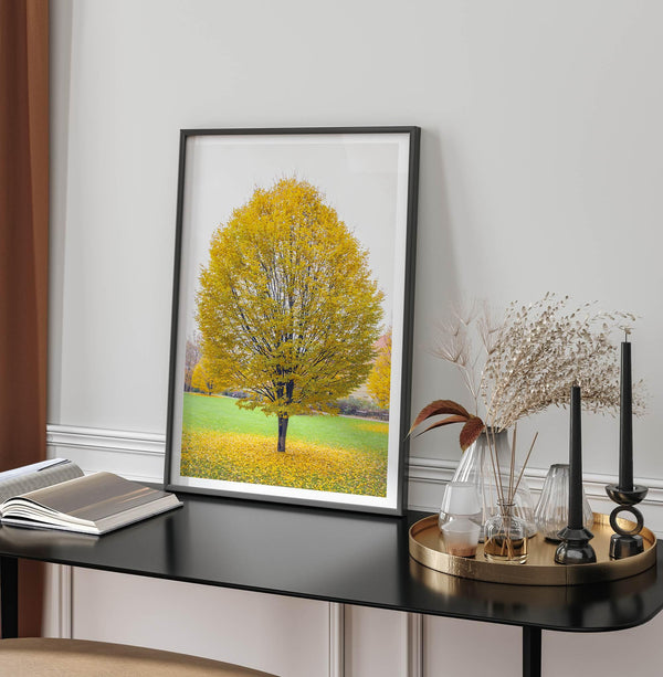 Framed fall wall decor print of a golden tree in Prague during autumn.