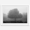 Black and white minimalist fine art photography print of a single tree shrouded in mist. This moody landscape captures the serenity and mystery of a foggy forest, creating a calming and peaceful atmosphere
