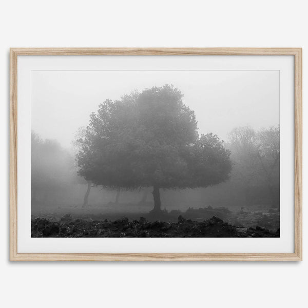 Black and white minimalist fine art photography print of a single tree shrouded in mist. This moody landscape captures the serenity and mystery of a foggy forest, creating a calming and peaceful atmosphere