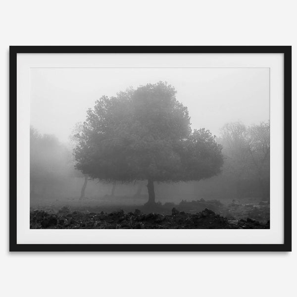 Black and white minimalist fine art photography print of a single tree shrouded in mist. This moody landscape captures the serenity and mystery of a foggy forest, creating a calming and peaceful atmosphere
