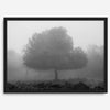 Black and white minimalist fine art photography print of a single tree shrouded in mist. This moody landscape captures the serenity and mystery of a foggy forest, creating a calming and peaceful atmosphere