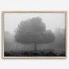 Black and white minimalist fine art photography print of a single tree shrouded in mist. This moody landscape captures the serenity and mystery of a foggy forest, creating a calming and peaceful atmosphere