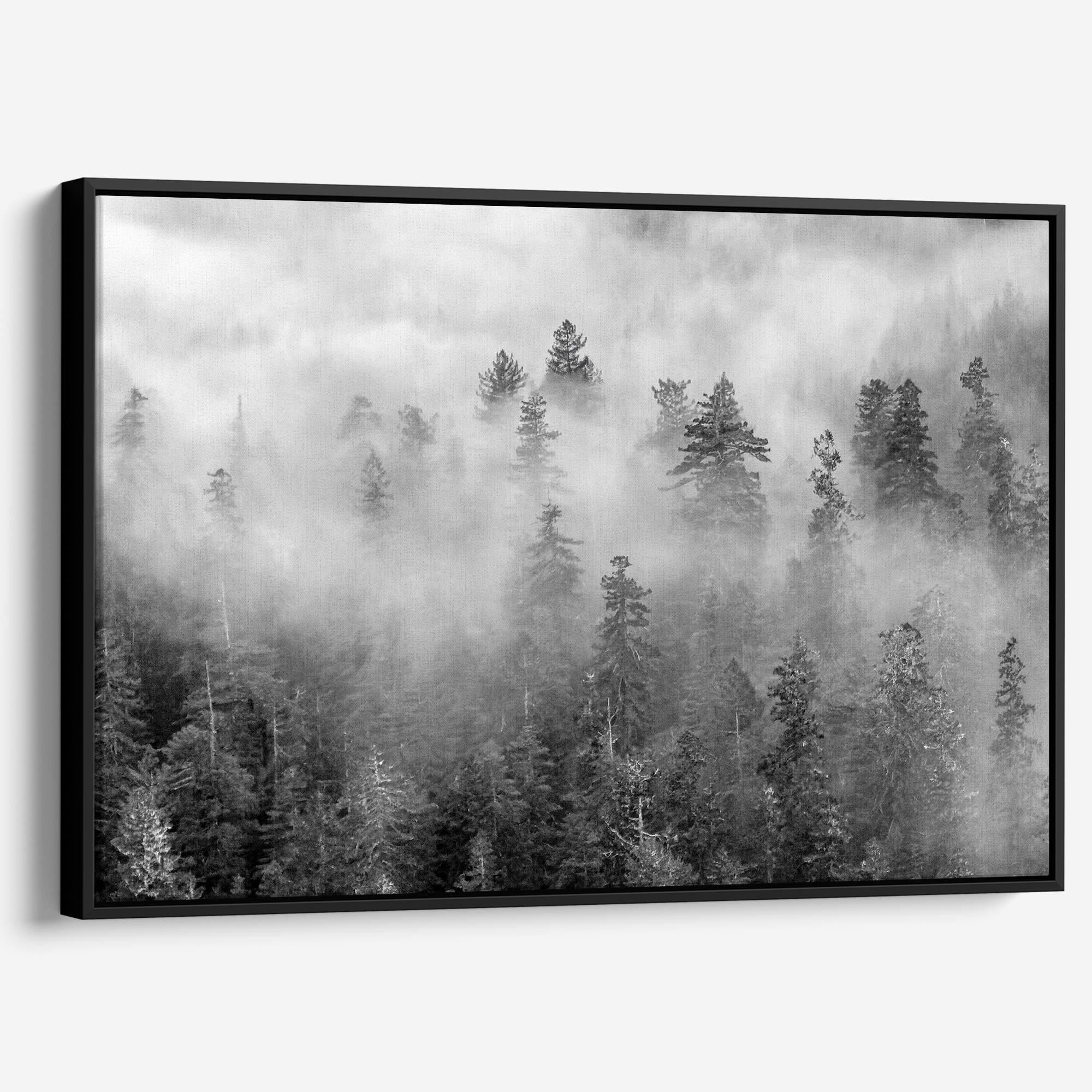 Black and white forest scene printed on canvas, with mist and soft contrast.