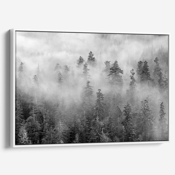 Black and white forest scene printed on canvas, with mist and soft contrast.