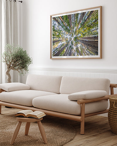 forest-wall-art-collection