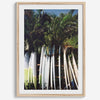 Rows of longboards under palm trees in Hawaii, tropical surfboard wall art photograph.
