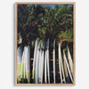 Rows of longboards under palm trees in Hawaii, tropical surfboard wall art photograph.