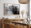 Fine art black and white Highland cow wall art featuring a close-up portrait captured in the Scotland Highlands.