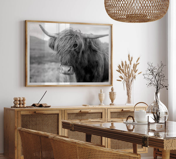 Fine art black and white Highland cow wall art featuring a close-up portrait captured in the Scotland Highlands.
