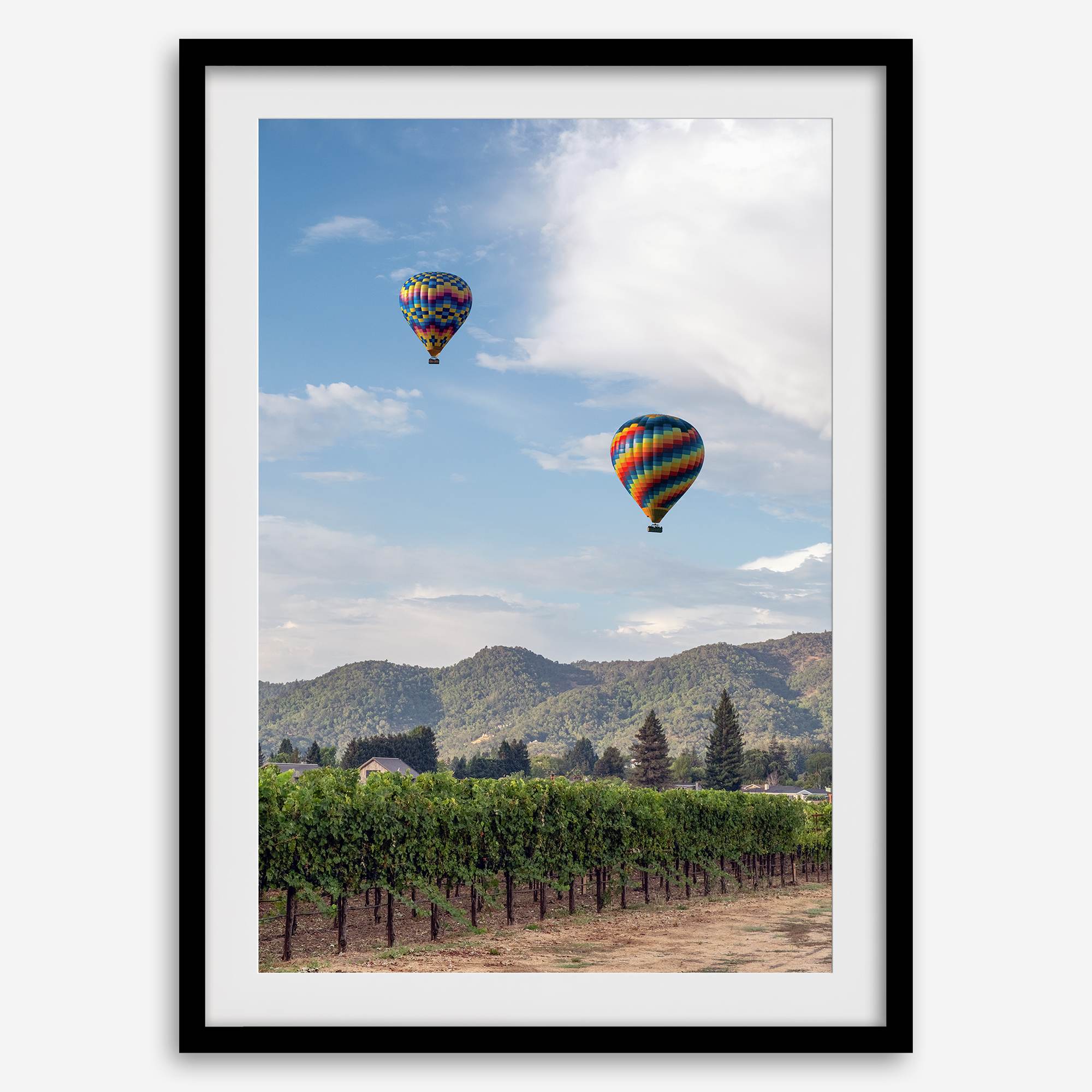 Fine art hot air balloon photography print above Napa Valley vineyards in Yountville.