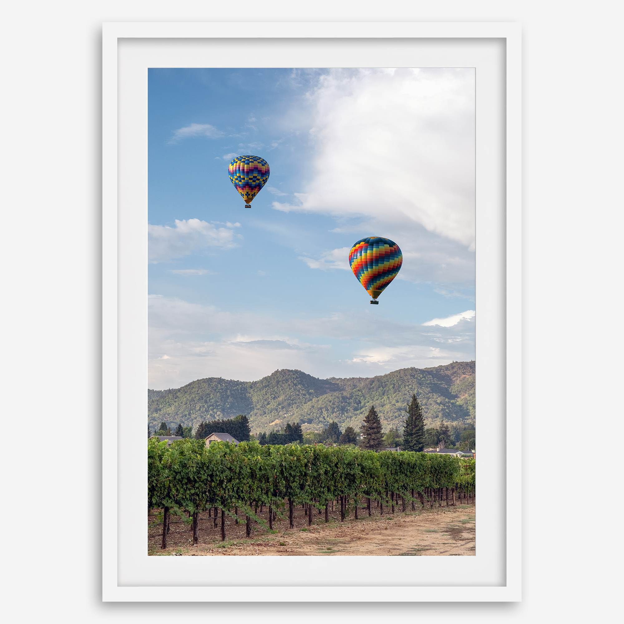 Fine art hot air balloon photography print above Napa Valley vineyards in Yountville.