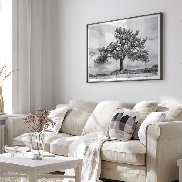 Large tree wall art featuring a black and white photograph of a Yosemite pine tree against a cloudy sky.