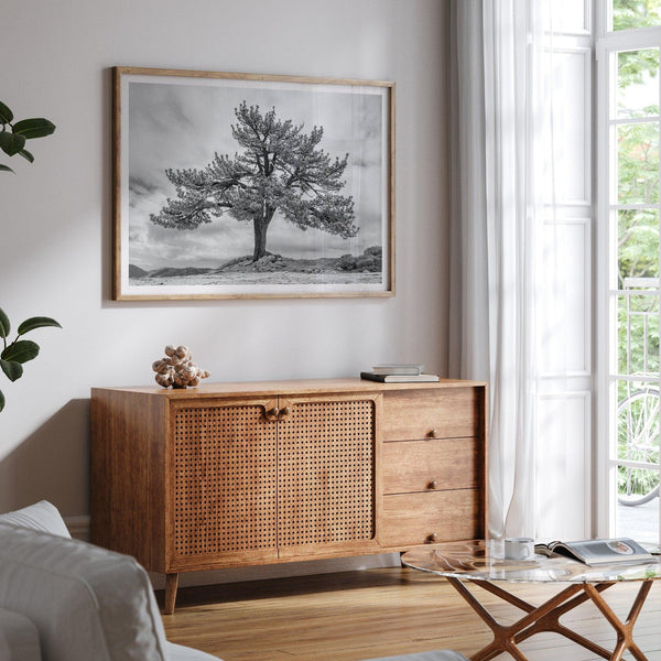 Large tree wall art featuring a black and white photograph of a Yosemite pine tree against a cloudy sky.