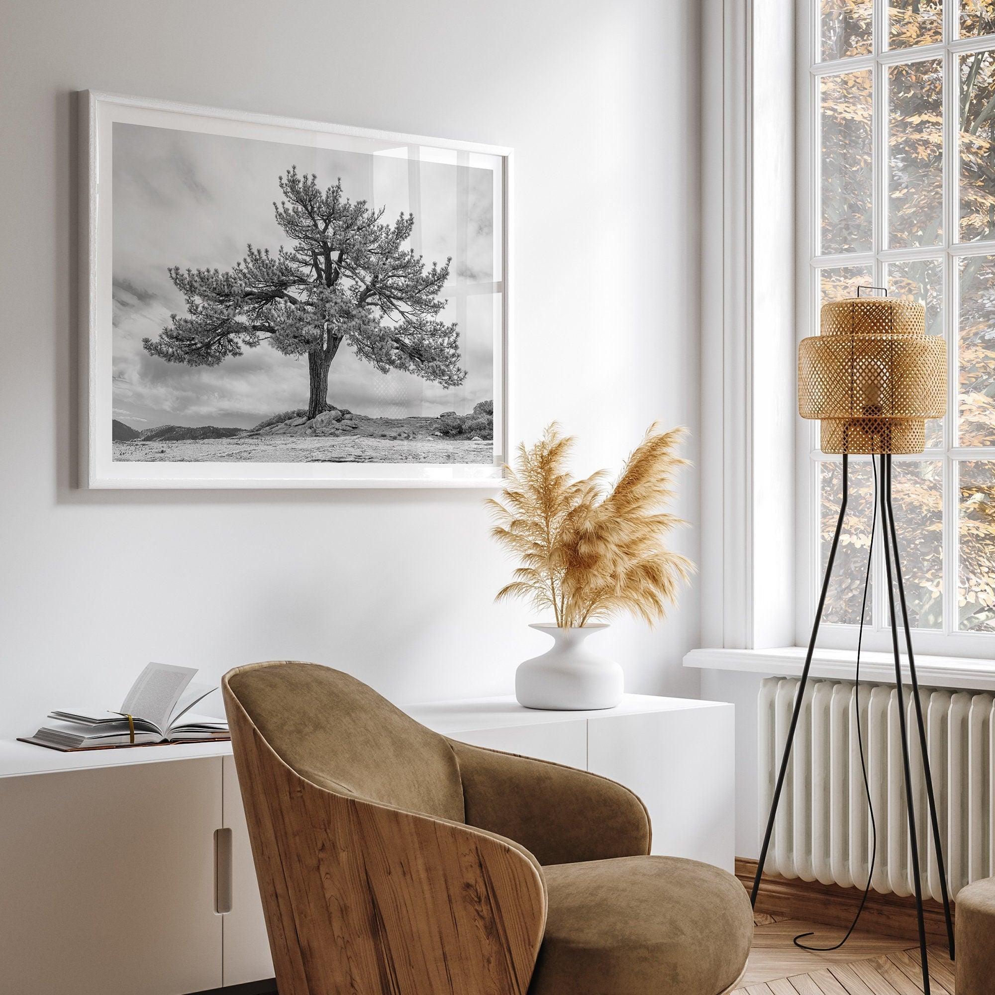 Large tree wall art featuring a black and white photograph of a Yosemite pine tree against a cloudy sky.