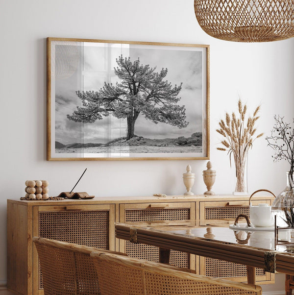 Large tree wall art featuring a black and white photograph of a Yosemite pine tree against a cloudy sky.