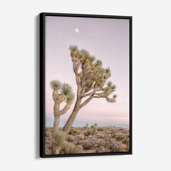 Fine art canvas of Joshua Tree under moonlit sky, framed in FSC hardwood with soft desert tones