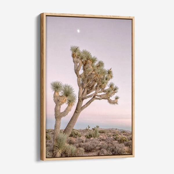 Fine art canvas of Joshua Tree under moonlit sky, framed in FSC hardwood with soft desert tones