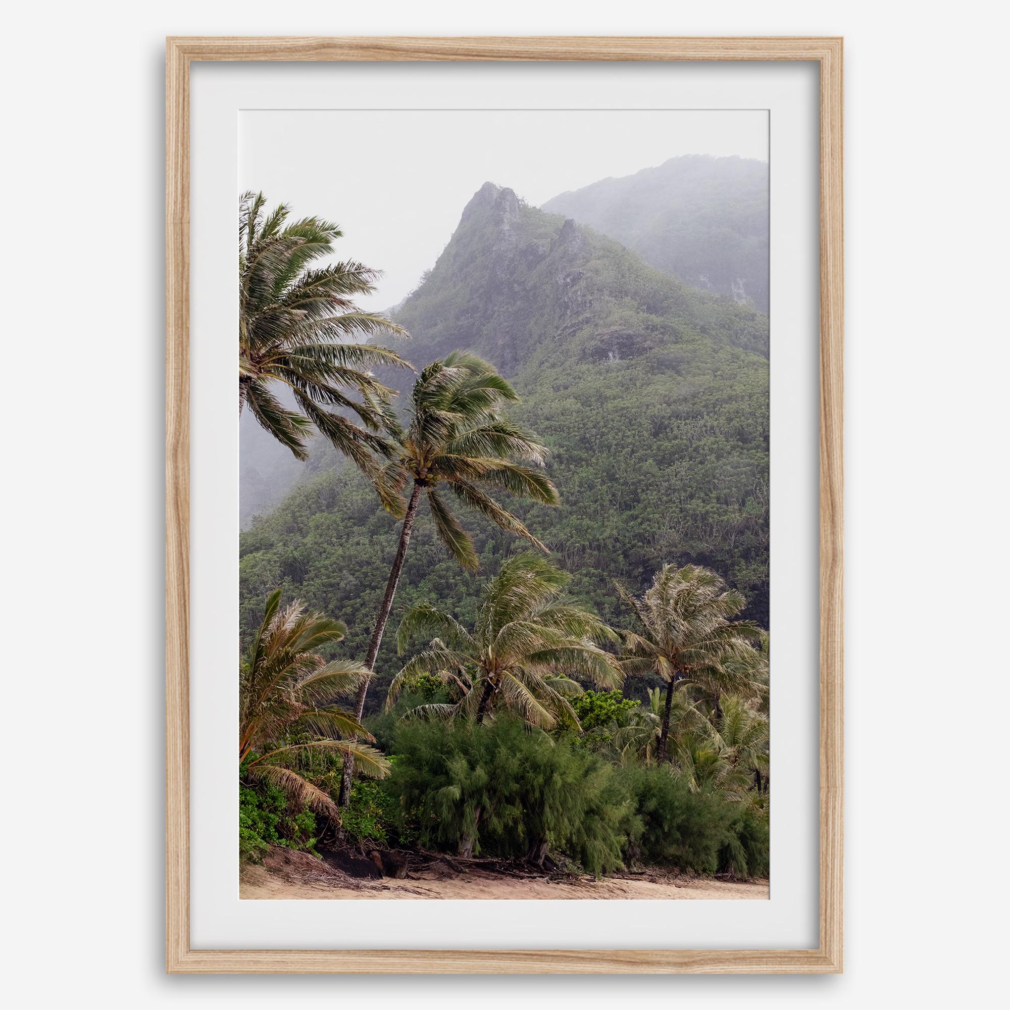 Kauai palm tree wall art featuring tropical palms and misty mountains at Keʻe Beach