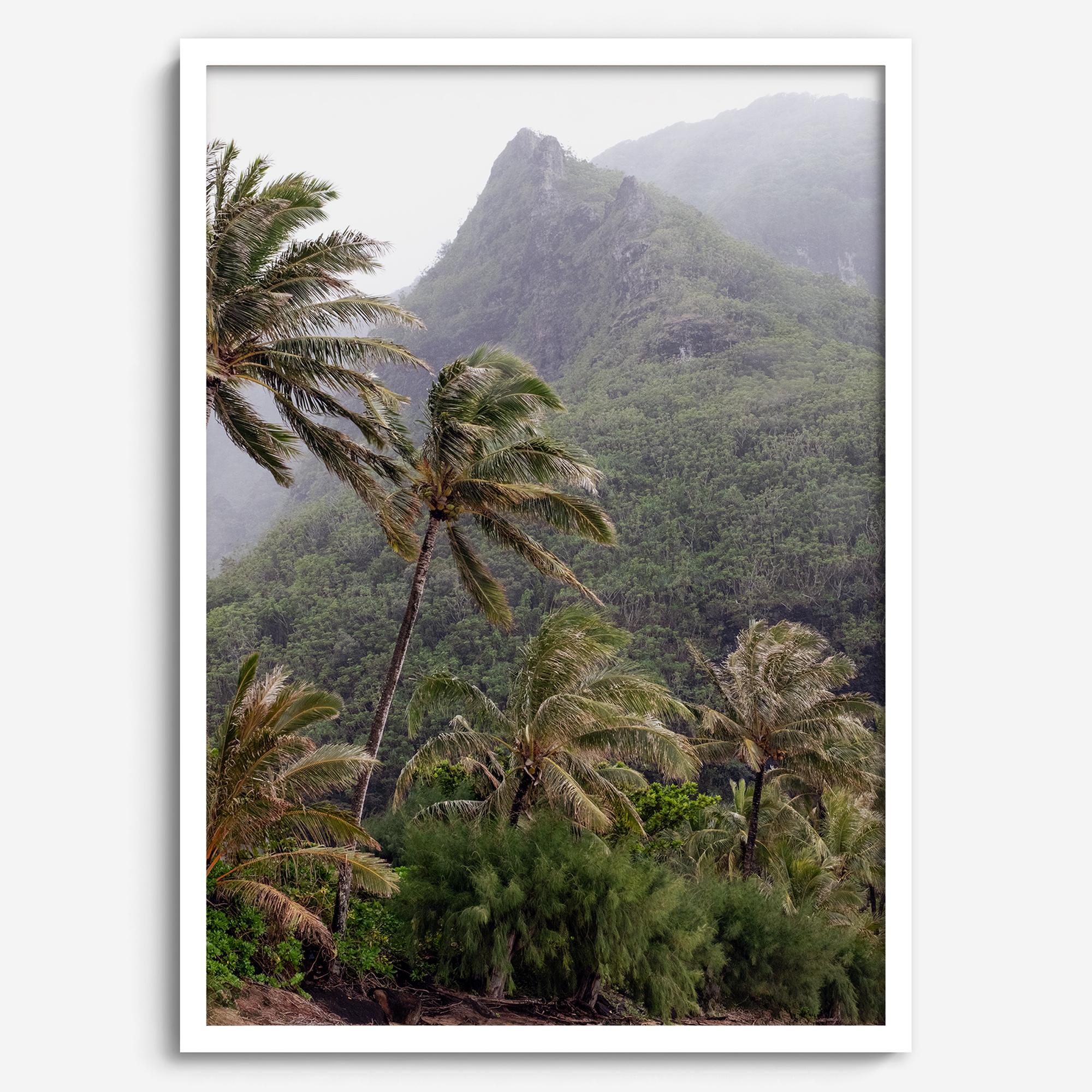 Kauai palm tree wall art featuring tropical palms and misty mountains at Keʻe Beach