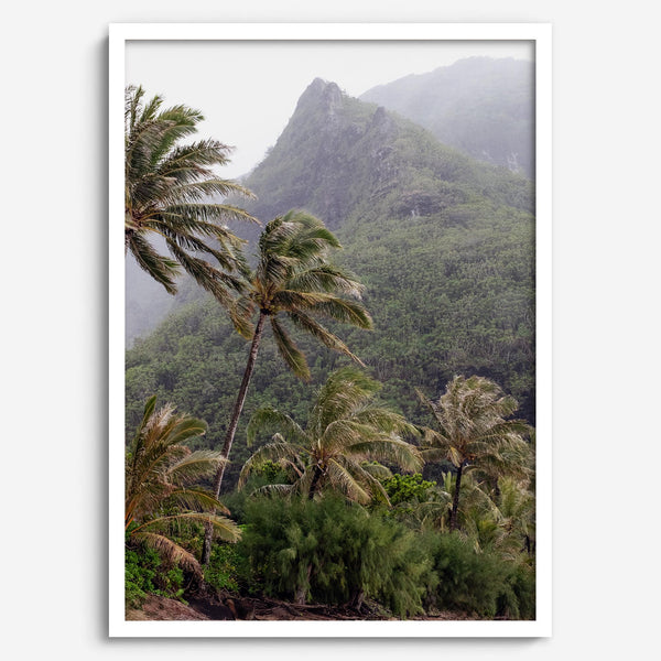 Kauai palm tree wall art featuring tropical palms and misty mountains at Keʻe Beach
